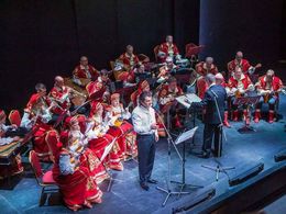 ���-���������