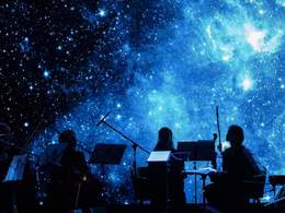 �������� � �������. ������. ������. ����������. ��������