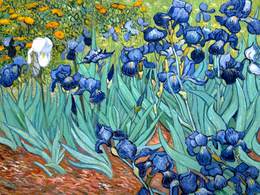 ����� ��� ����