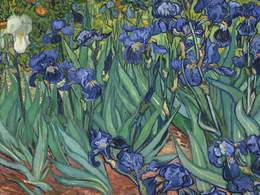 ����� ��� ����