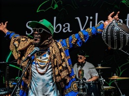 Simba Vibration