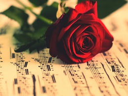 ���� � ����� �������