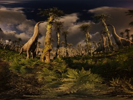 ���������. ������� ��������