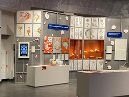 ���� � �������: ���������� � �����