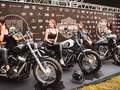 Biker Brothers Festival