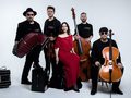 Tango Orchestra Misterioso