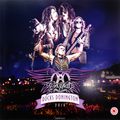 Aerosmith. Rocks Donington 2014 (3 LP + DVD)