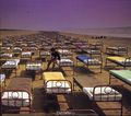 Pink Floyd. A Momentary Lapse Of Reason