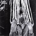 Peter Gabriel. Peter Gabriel 2 (LP)