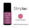 Alessandro - "Striplac"  ,  41 Sweet Blackberry, :  , 8 