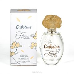 Gres   CABOTINE FLEUR D'IVOIRE  100 