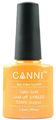 Canni -   Colors,  91, 7,3 