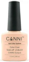 Canni -   Colors,  55, 7,3 