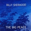 Billy Sherwood. The Big Peace