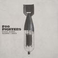 Foo Fighters. Echoes, Silence, Patience & Grace (2 LP)