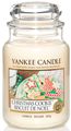   Yankee Candle "Christmas ookie",  16,8 