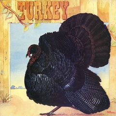 Wild Turkey. Turkey