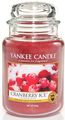   Yankee Candle "Cranberry ice",  16,8 