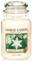   Yankee Candle "Sparkling snow",  16,8 