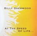 Billy Sherwood. At The Speed Of Life