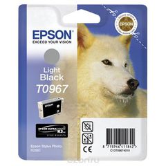 Epson C13T09674010, Light Black   Stylus Photo R2880