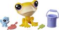 Littlest Pet Shop   Iggy Frogstein & Mitzi McLizard