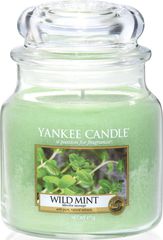  Yankee Candle "  / Wild Mint", 65-90 