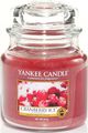   Yankee Candle "   / Cranberry Ice", 65-90 