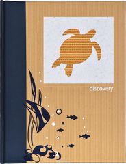  Innova "Discovery Turtle", 15 