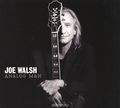 Joe Walsh. Analog Man