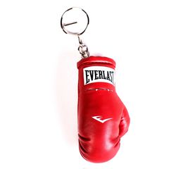    Everlast "Mini Boxing Glove", : 