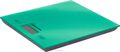 HomeStar HS-3006, Green  