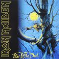 Iron Maiden. Fear Of The Dark (2 LP)