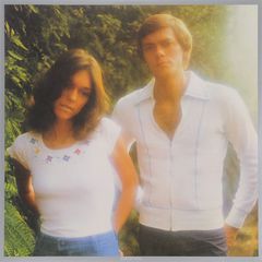 Carpenters. Horizon (LP)