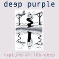 Deep Purple. Rapture Of The Deep
