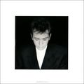 Peter Gabriel. Shaking The Tree: Sixteen Golden Greats