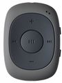 Digma C2L 4Gb, Gray MP3-