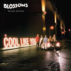 Blossoms. Cool Like You (LP)