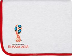 2018 FIFA World Cup Russia     120  80 