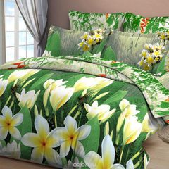   Letto, ,  7070, : . B12-6