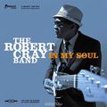 The Robert Cray Band. In My Soul (LP)