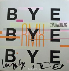 2raumwohnung. Bye Bye Bye (LP)