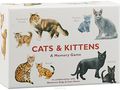 Cats & Kittens Cards