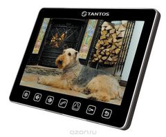 Tantos Tango, Black  