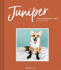 Juniper: The Happiest Fox