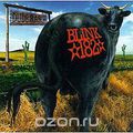 Blink 182. Dude Ranch