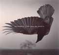 Katatonia. The Fall Of Hearts (CD + DVD)