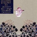 Devendra Banhart. Smokey Rolls Down Thunder Canyon