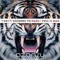 30 Seconds To Mars. This Is War (2 LP + CD)