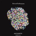 Echo & The Bunnymen. Meteorites (2 LP + CD)
